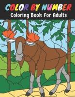 Color By Number Coloring Book For Adults : An Adults Coloring Book For Birds, Flower, Animal Color By Number Coloring Book With Adults Relaxation ( Large Print Color By Number Books For Adults )