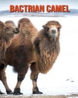 Bactrian Camel: Amazing Photos & Fun Facts Book About Bactrian Camel For Kids