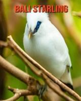 Bali Starling: Amazing Photos & Fun Facts Book About Bali Starling For Kids