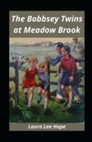 The Bobbsey Twins at Meadow Brook Illustrated