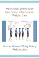 Mechanical Stimulation Low-Grade Inflammation Weight Gain: Muscles Upward Lifting Activity Weight Loss