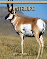 Antelope