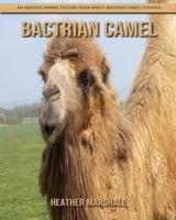 Bactrian camel: An Amazing Animal Picture Book about Bactrian camel for Kids