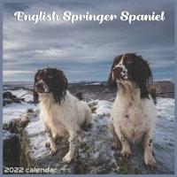 English Springer Spaniel Calendar 2022: Dog Breed 2022 Calendar 16 Month