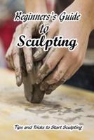 Beginners's Guide to Sculpting
