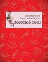 Male Body and Reproductive System Coloring Book