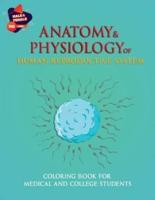 Anatomy & Physiology of Human Reproductive System