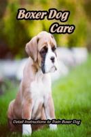 Boxer Dog Care