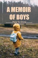 A Memoir Of Boys