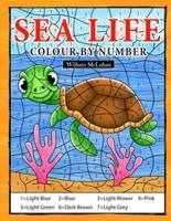 Sea Life Colour By Number: Coloring Book for Kids Ages 4-8