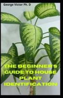 The Beginner's Guide To House Plant Identification