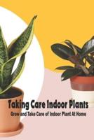 Taking Care Indoor Plants