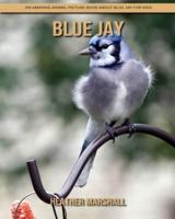 Blue Jay: An Amazing Animal Picture Book about Blue Jay for Kids