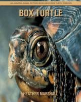 Box Turtle: An Amazing Animal Picture Book about Box Turtle for Kids