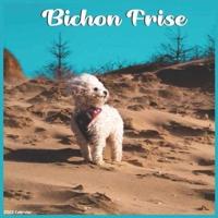 Bichon Frise 2022 Calendar: Official Bichon Frise Dog breed 2022 Calendar, 16 Month