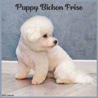 Bichon Frise Puppy 2022 Calendar: Official Bichon Frise Puppies 2022 Calendar, 16 Month Calendar