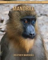 Mandrill: An Amazing Animal Picture Book about Mandrill for Kids
