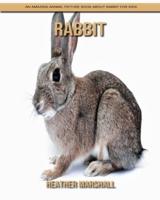 Rabbit: An Amazing Animal Picture Book about Rabbit for Kids