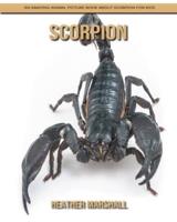 Scorpion: An Amazing Animal Picture Book about Scorpion for Kids