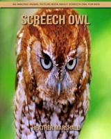 Screech Owl: An Amazing Animal Picture Book about Screech Owl for Kids