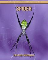 Spider: An Amazing Animal Picture Book about Spider for Kids