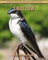 Swallow: An Amazing Animal Picture Book about Swallow for Kids