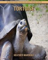 Tortoise: An Amazing Animal Picture Book about Tortoise for Kids