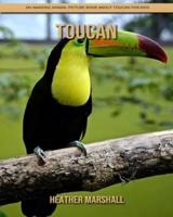 Toucan: An Amazing Animal Picture Book about Toucan for Kids