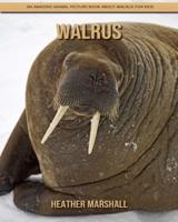 Walrus: An Amazing Animal Picture Book about Walrus for Kids