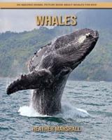 Whales: An Amazing Animal Picture Book about Whales for Kids