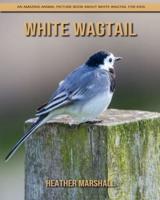 White Wagtail: An Amazing Animal Picture Book about White Wagtail for Kids