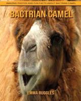 Bactrian camel: Amazing Photos and Fun Facts about Bactrian camel