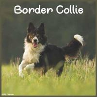 2022 Border Collie Calendar: Official Border Collie Dog breed 2022 Calendar 16 month