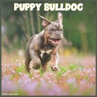 Bulldog Puppy 2022 Calendar: Official British Bulldog 2022 Calendar 16 months