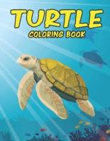 Turtle Coloring Book