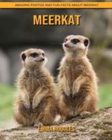 Meerkat: Amazing Photos and Fun Facts about Meerkat