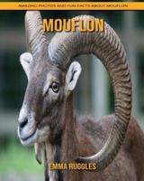 Mouflon: Amazing Photos and Fun Facts about Mouflon