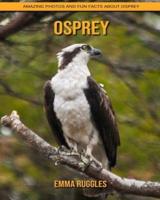 Osprey: Amazing Photos and Fun Facts about Osprey