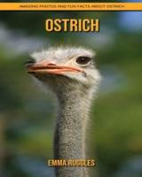 Ostrich: Amazing Photos and Fun Facts about Ostrich