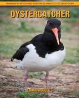 Oystercatcher: Amazing Photos and Fun Facts about Oystercatcher