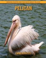 Pelican: Amazing Photos and Fun Facts about Pelican