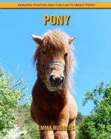 Pony: Amazing Photos and Fun Facts about Pony
