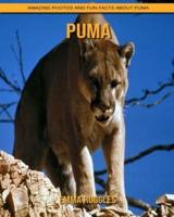 Puma: Amazing Photos and Fun Facts about Puma