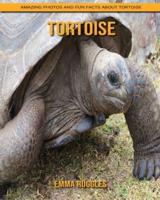 Tortoise: Amazing Photos and Fun Facts about Tortoise
