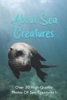 About Sea Creatures