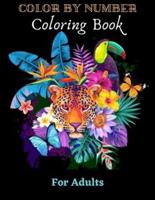 Color By Number Coloring Book For Adults