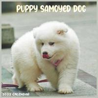 Samoyed Puppy 2022 Calendar