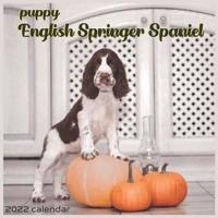 English Springer Spaniel Puppy 2022 Calendar