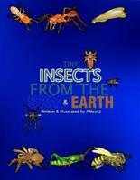 A Tiny Insects From Sky & Earth