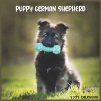 German Shepherd Puppy 2022 Calendar